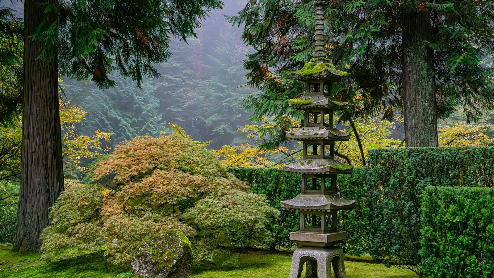 A garden with a stone bench in the middle of it