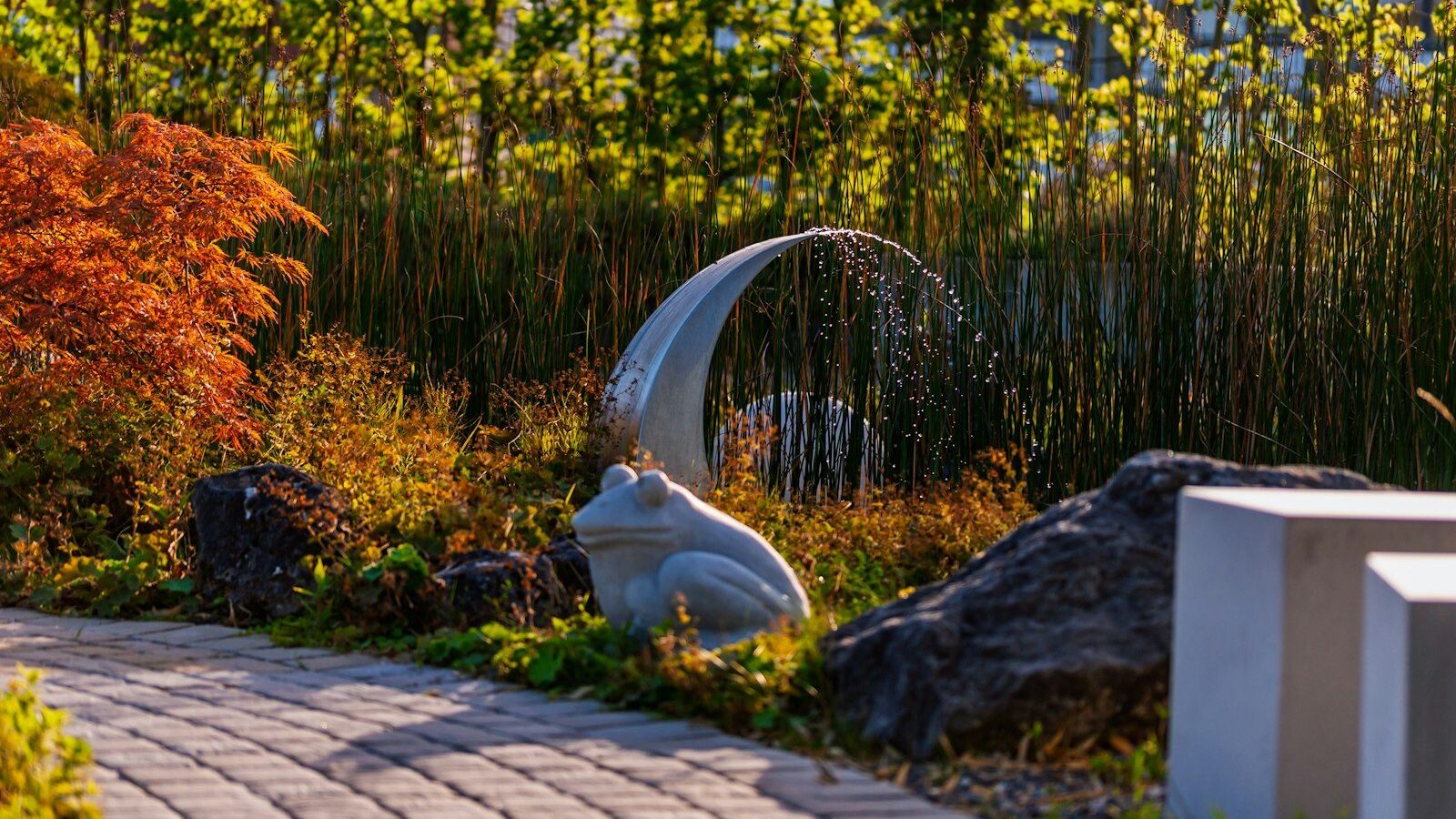 A stone frog statue beside a small water fountain in a garden